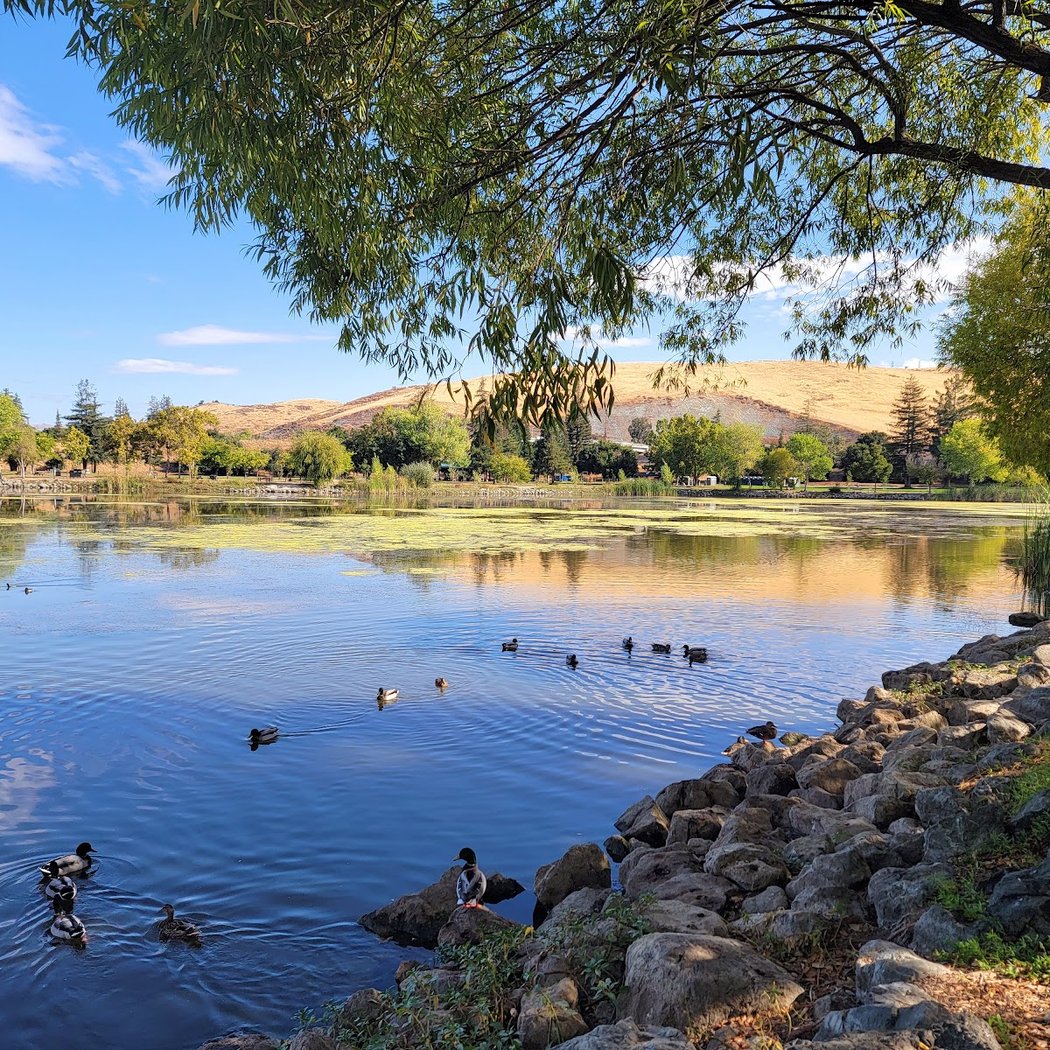 Cottonwood Lake 1