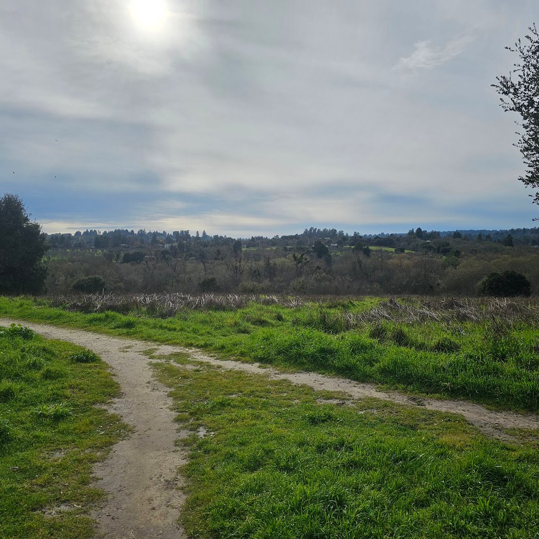 Sebastopol Peace Garden 2