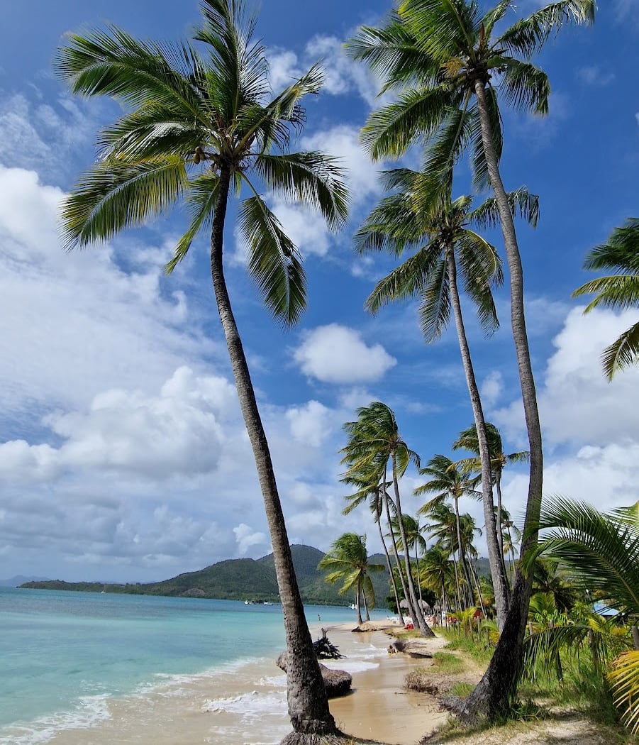 Plage Municipale de Sainte-Anne 1