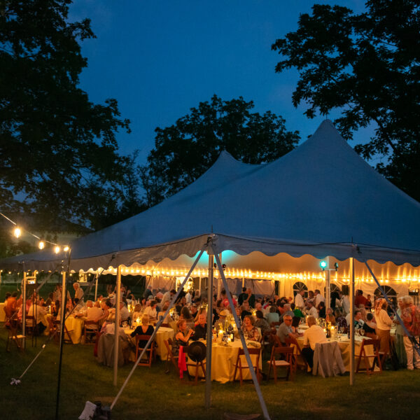 Cocktails, Dinner, and Paddle Raise Auction 1