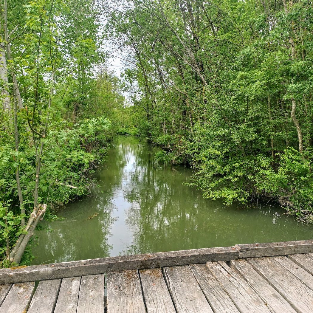 Saint-Hilaire-la-Palud 2