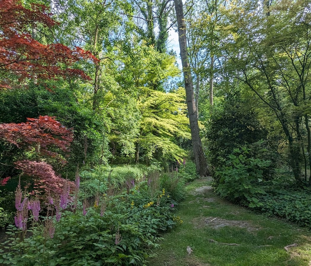 Visite de l'arboretum 3