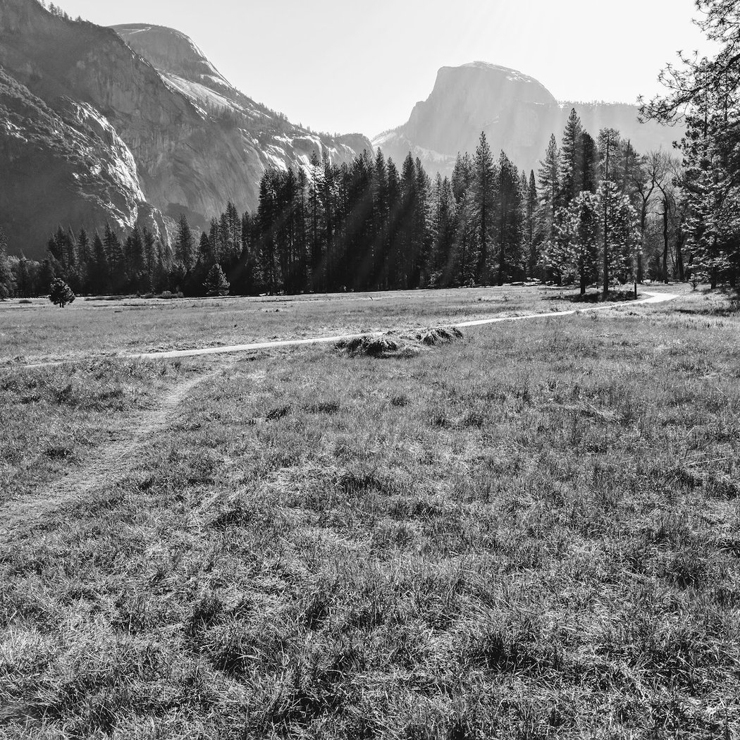 Cook's Meadow Loop 3