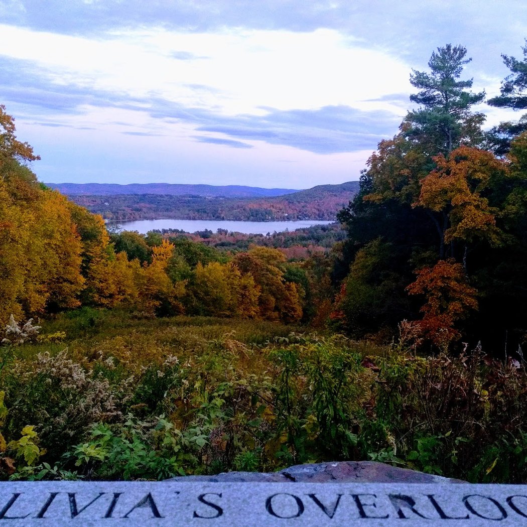 Olivia's Overlook at Yokun Ridge Reserve 1