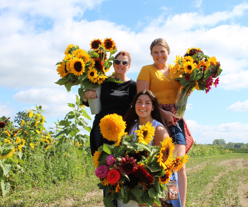 DeBuck's Family Farm 3