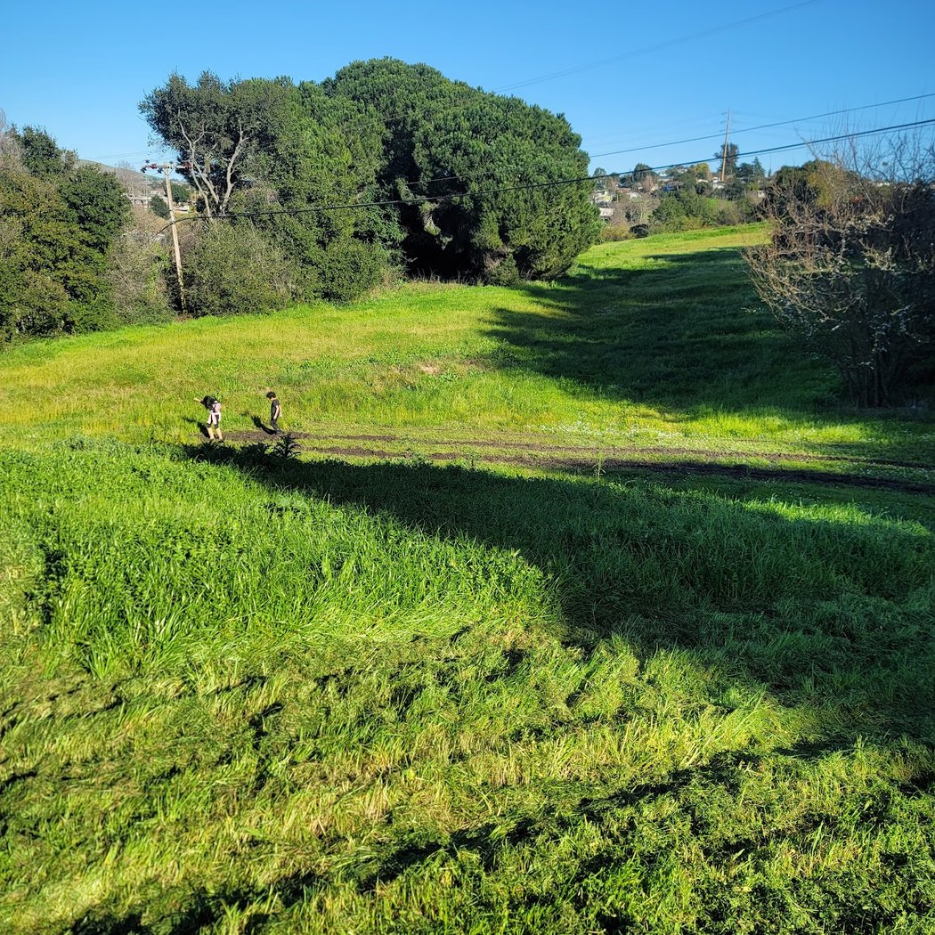 Beverly Hills Park 1