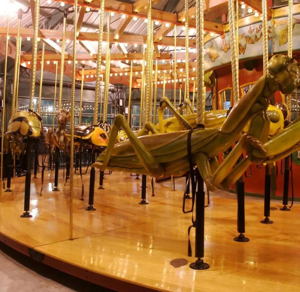 Bug Carousel 1