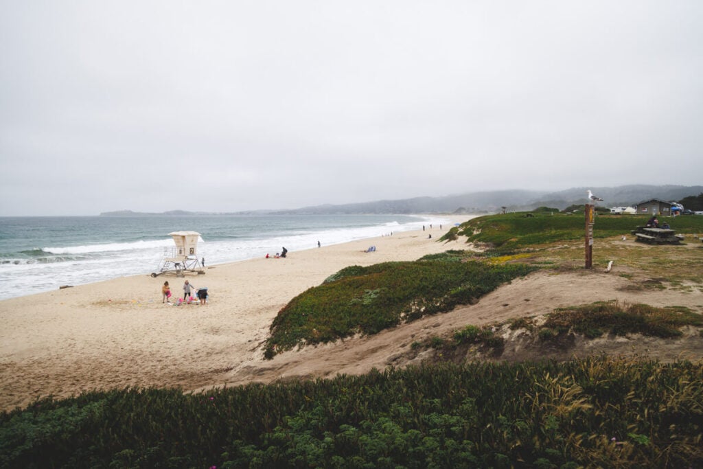 Francis Beach 2