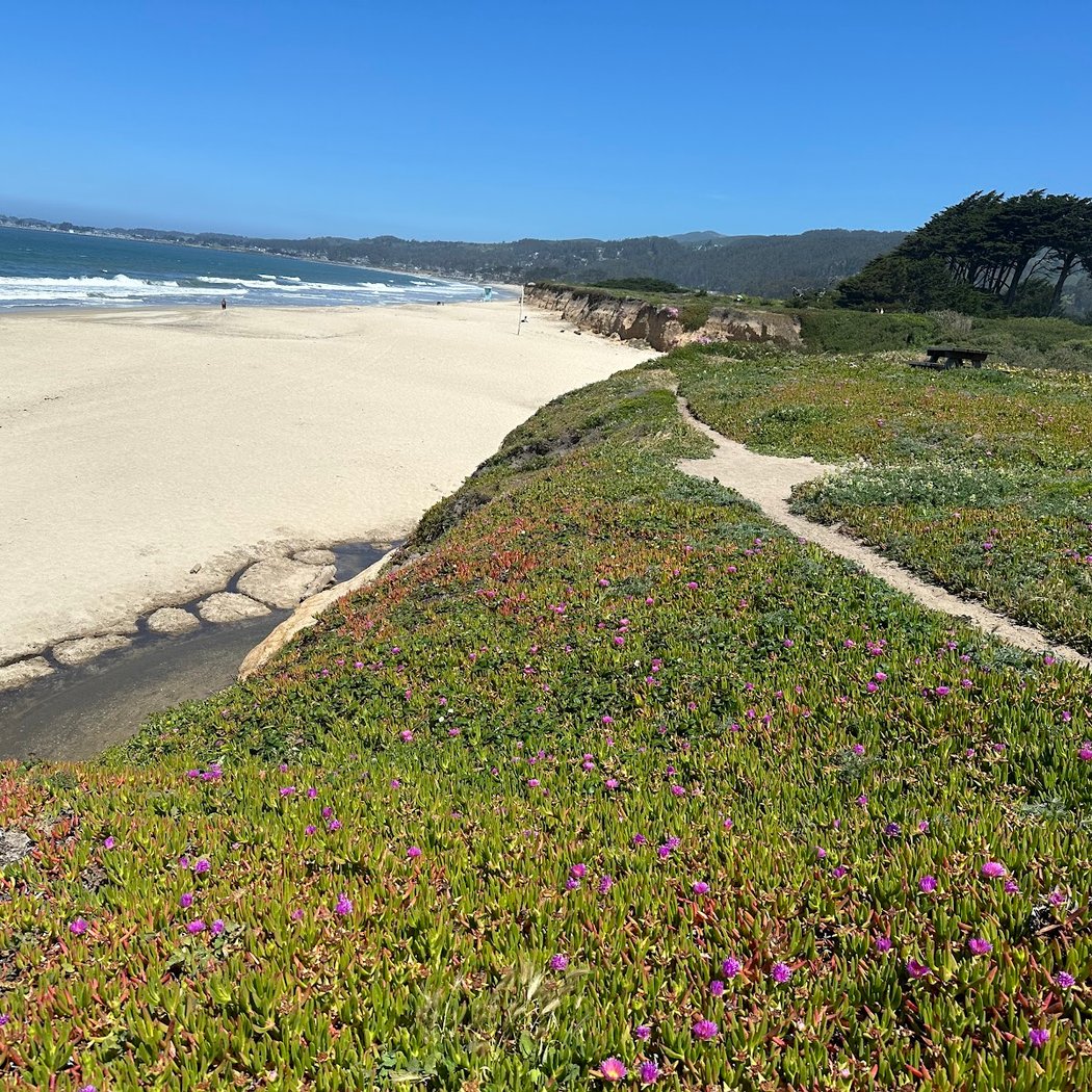 Francis Beach Amphitheater 2