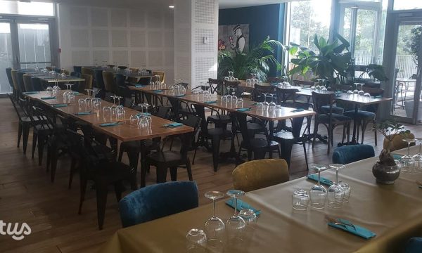 Quanta Café 2