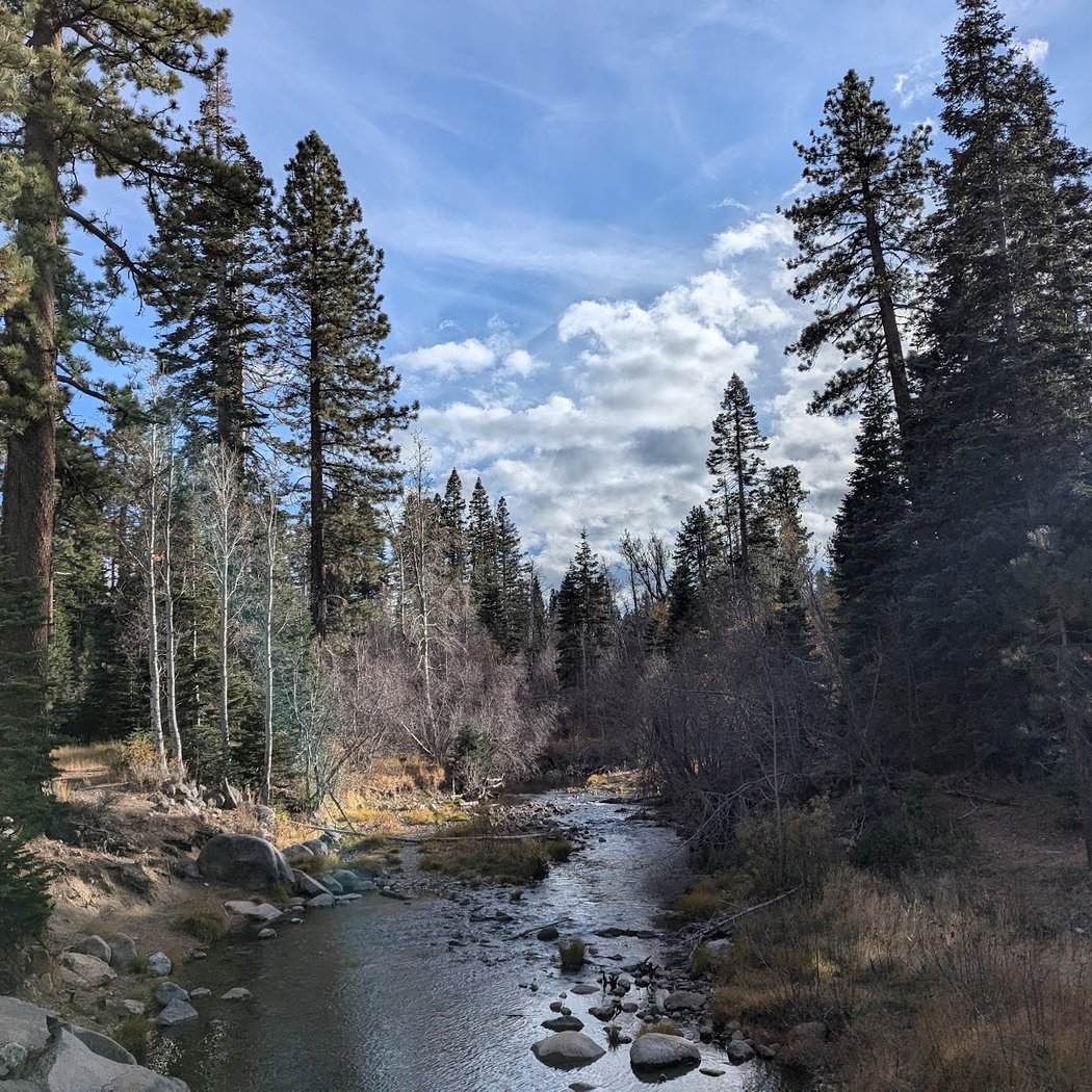 Rainbow Trail 1