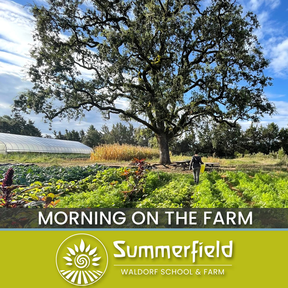 Morning on the Farm 1