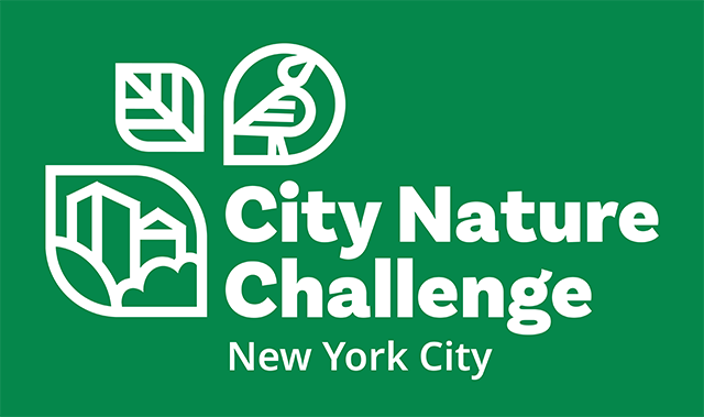 City Nature Challenge 2024 1