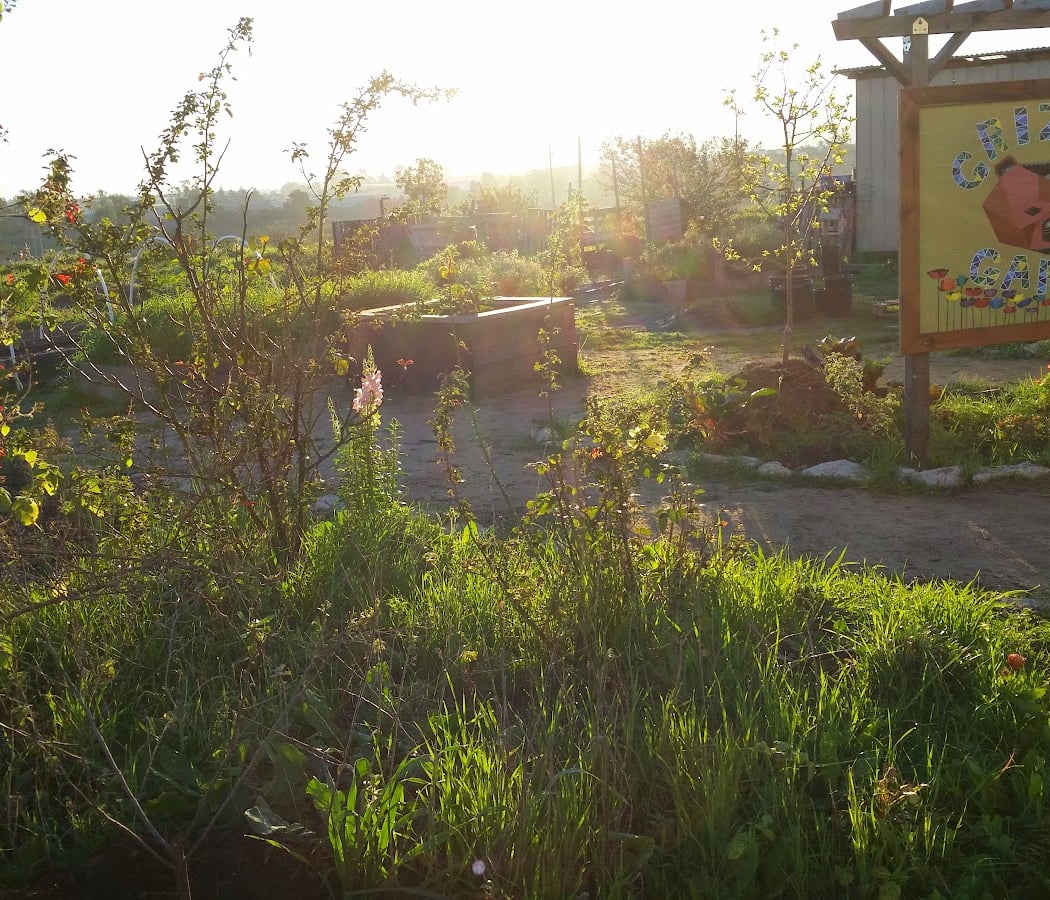 Strawberry Fields Forever Road Bike Event 2