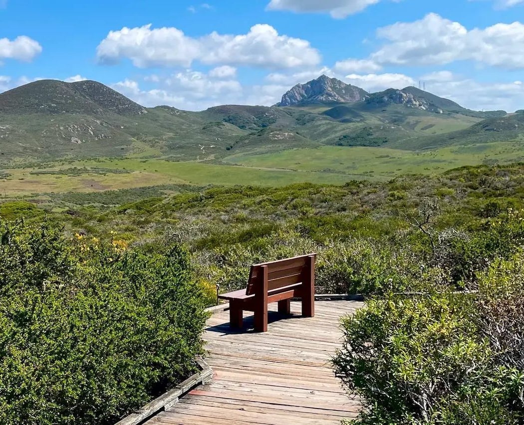 El Moro Elfin Forest Walk 3