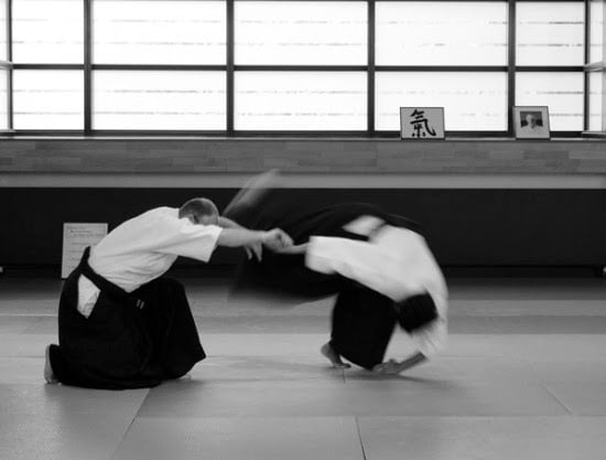 French Association Ki Aikido 2