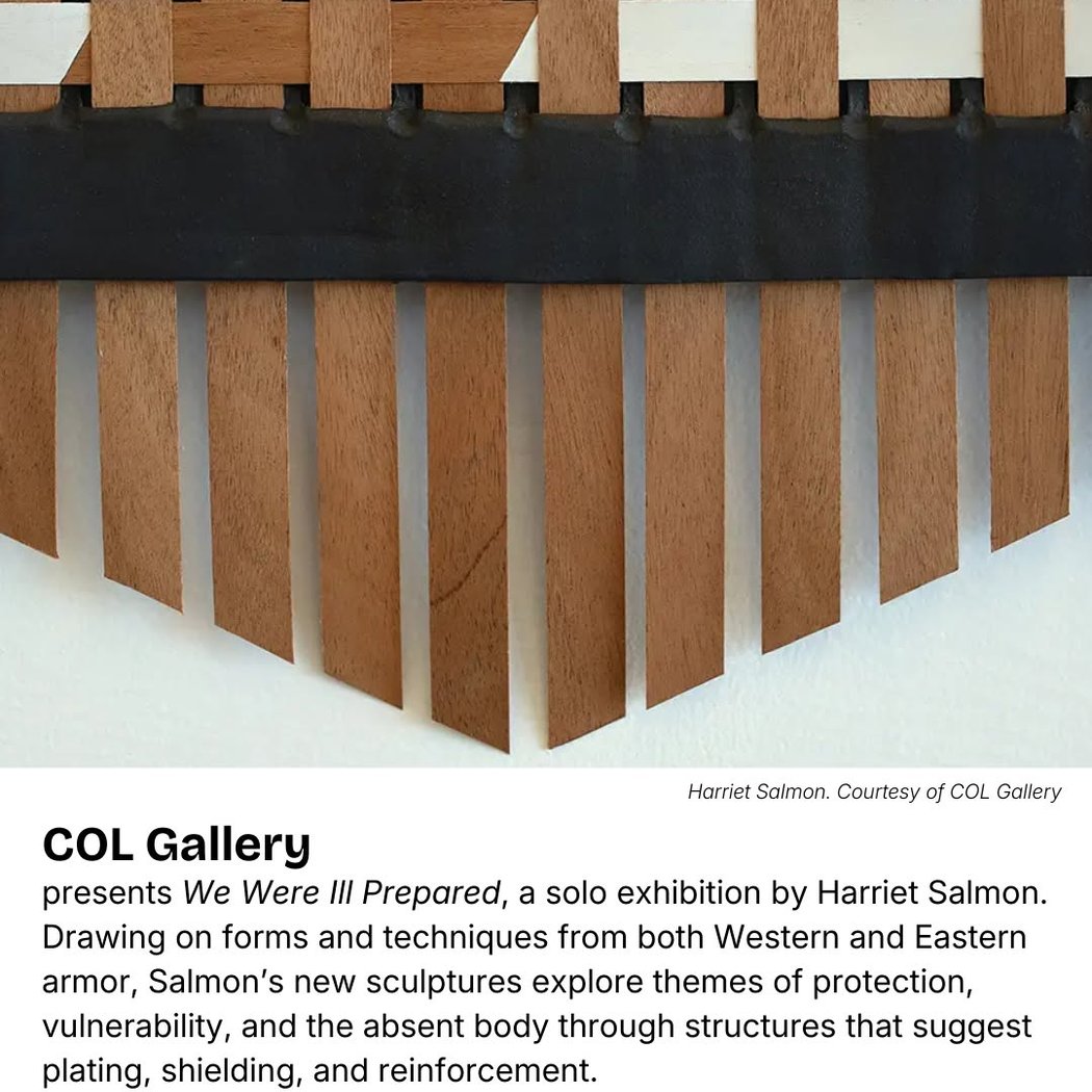 Harriet Salmon: We Were Ill Prepared - Opening Reception 1