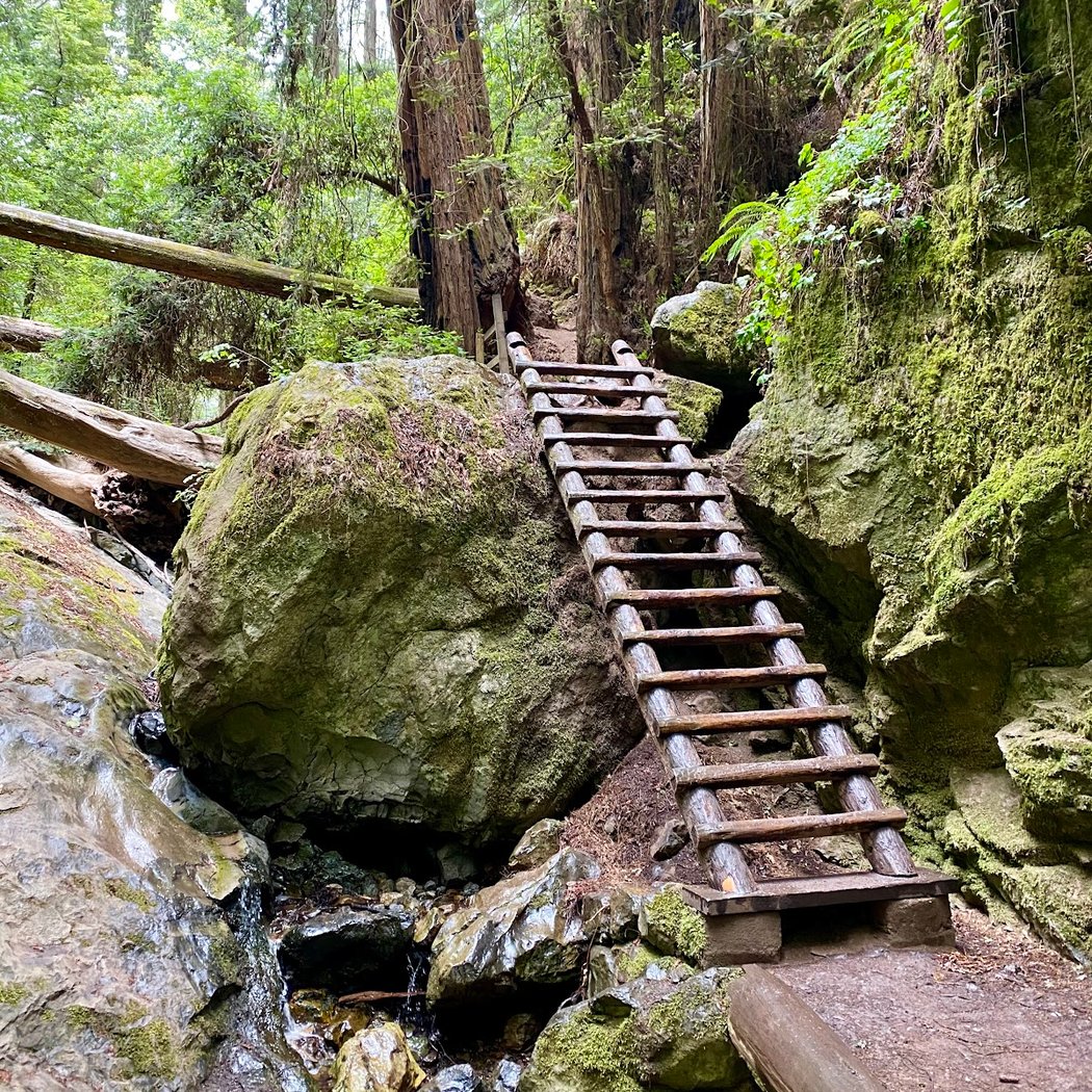 Matt Davis and Steep Ravine Loop 2