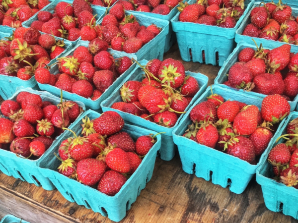 Bolles Organic Farm 2