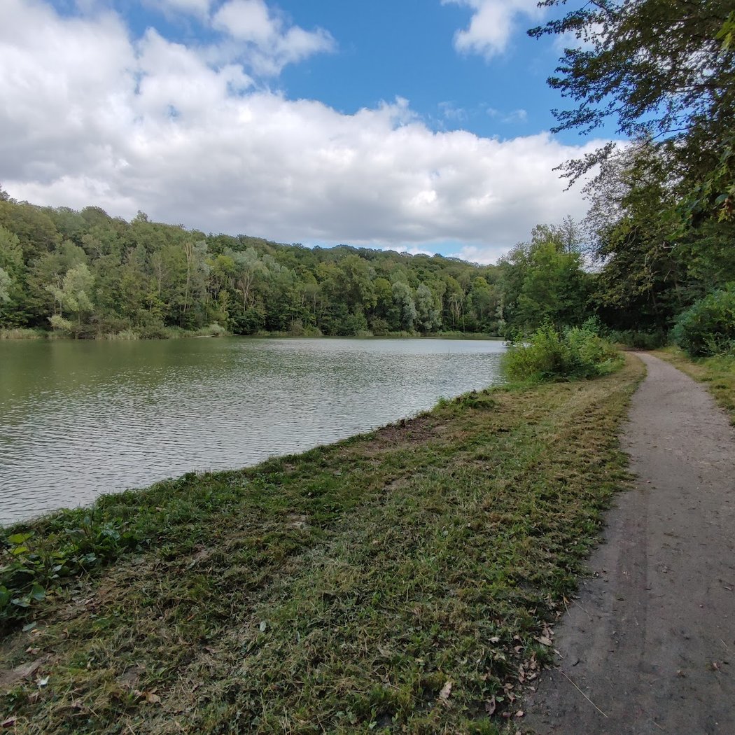 Forêt Domaniale de Carnelle 2