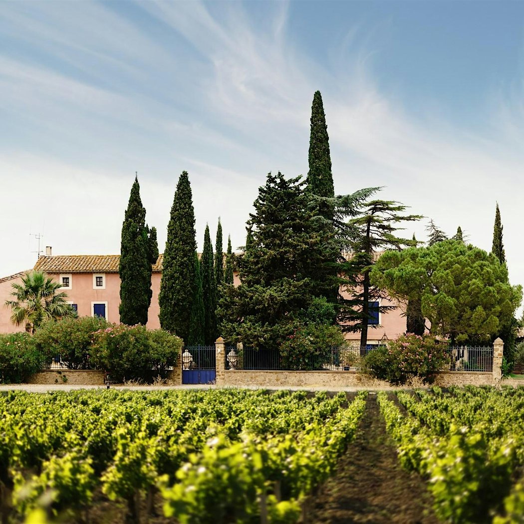 Gérard Bertrand Wine Dinner 2
