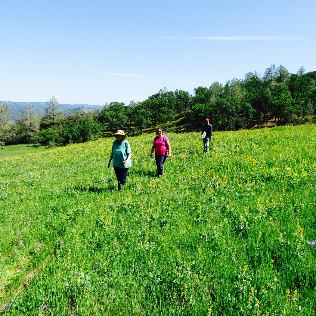 Mother’s Day at Tuteur Ranch 1