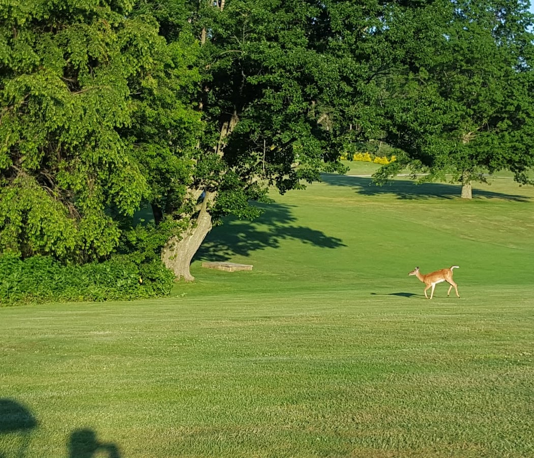 Northport Golf Course 3