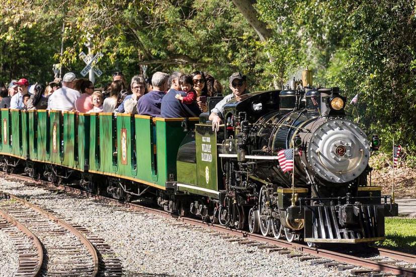 Billy Jones Wildcat Railroad & W.E. "Bill" Mason Carousel 1