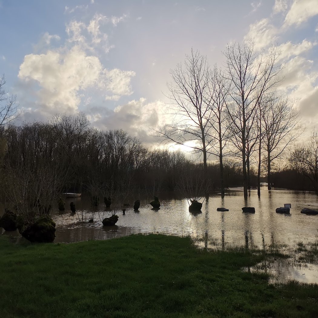 Bois des laves 3