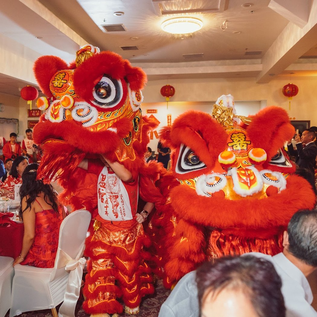 Wan Chi Ming Hung Gar Institute Dragon And Lion Dance Team 2