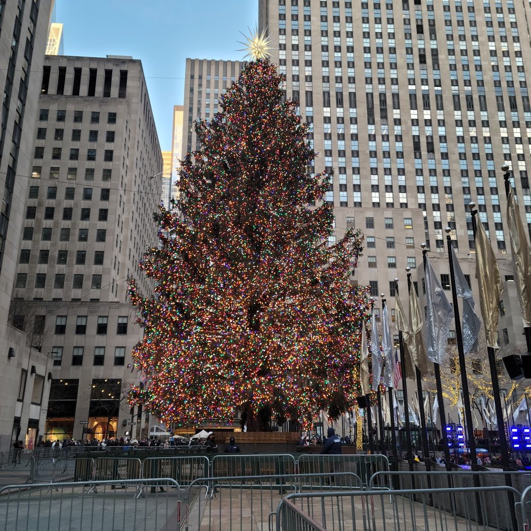 Tree Lighting 4