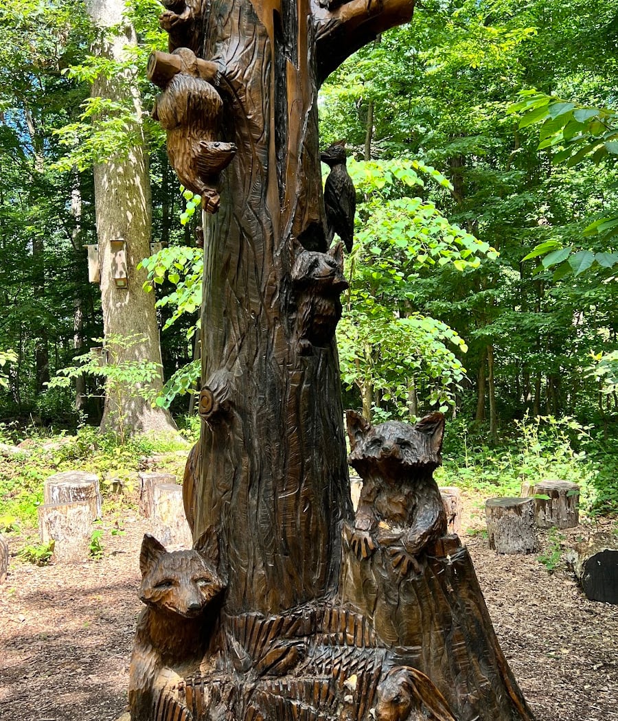 Pooh Bear Picnic 3