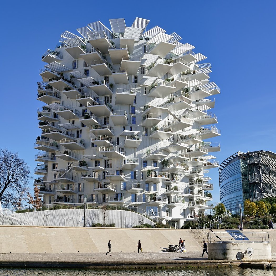 L'arbre blanc 2
