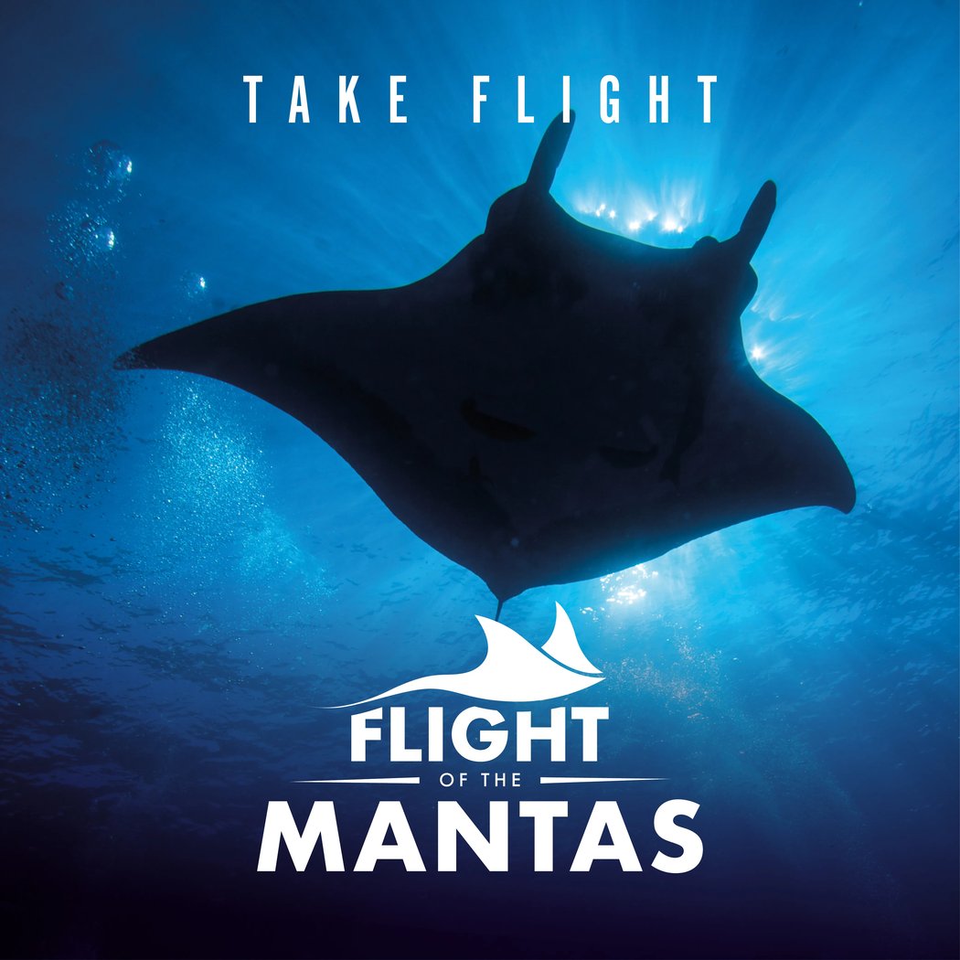 Flight of the Mantas