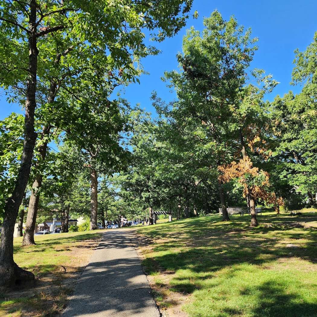 Wolfs Lane Park 1