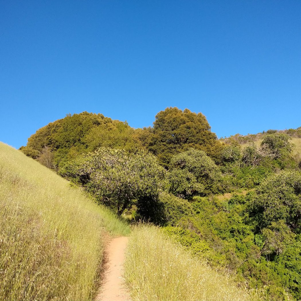 Black Mountain Trail 1