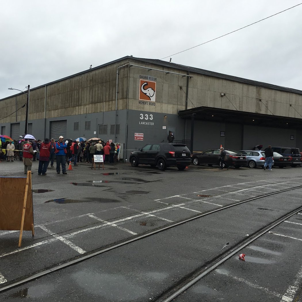 2026 White Elephant Sale: Free Clearance Weekend 3