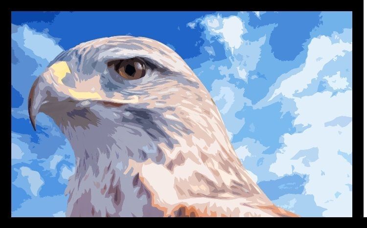 Bird of Prey Hike 1