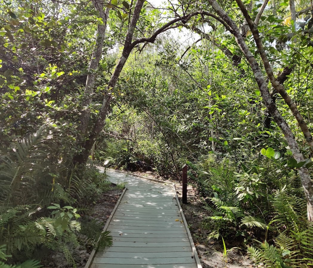 Secret Woods Nature Center 2