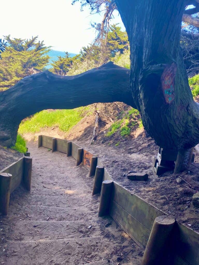 Lands End Trail & Coastal Trail 2