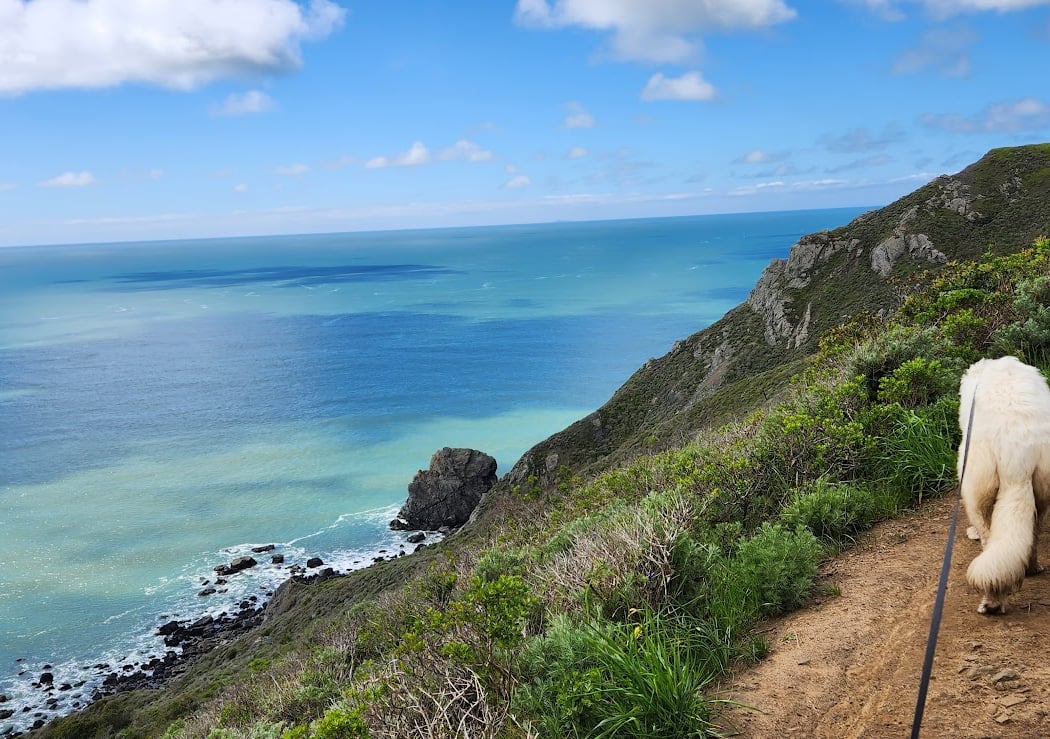 Pirates Cove 3