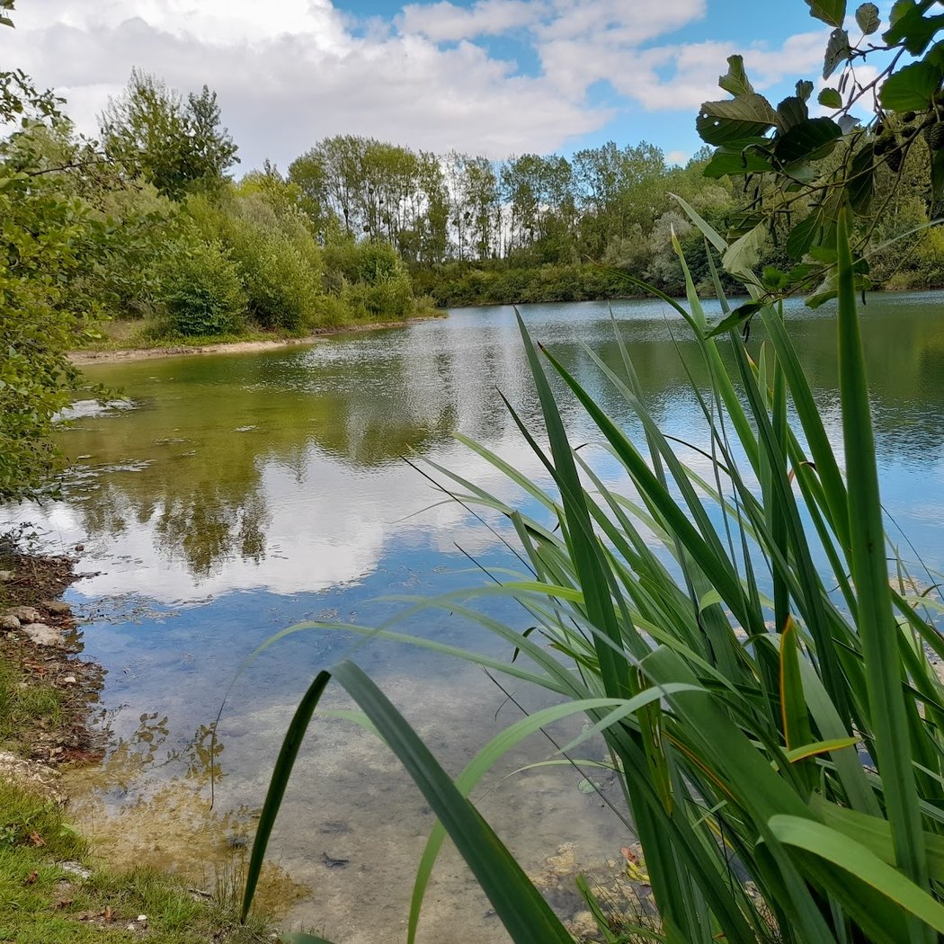 Plan D'eau Du Monteuil 3