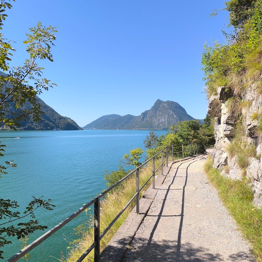 Sentiero dell'olivo 1