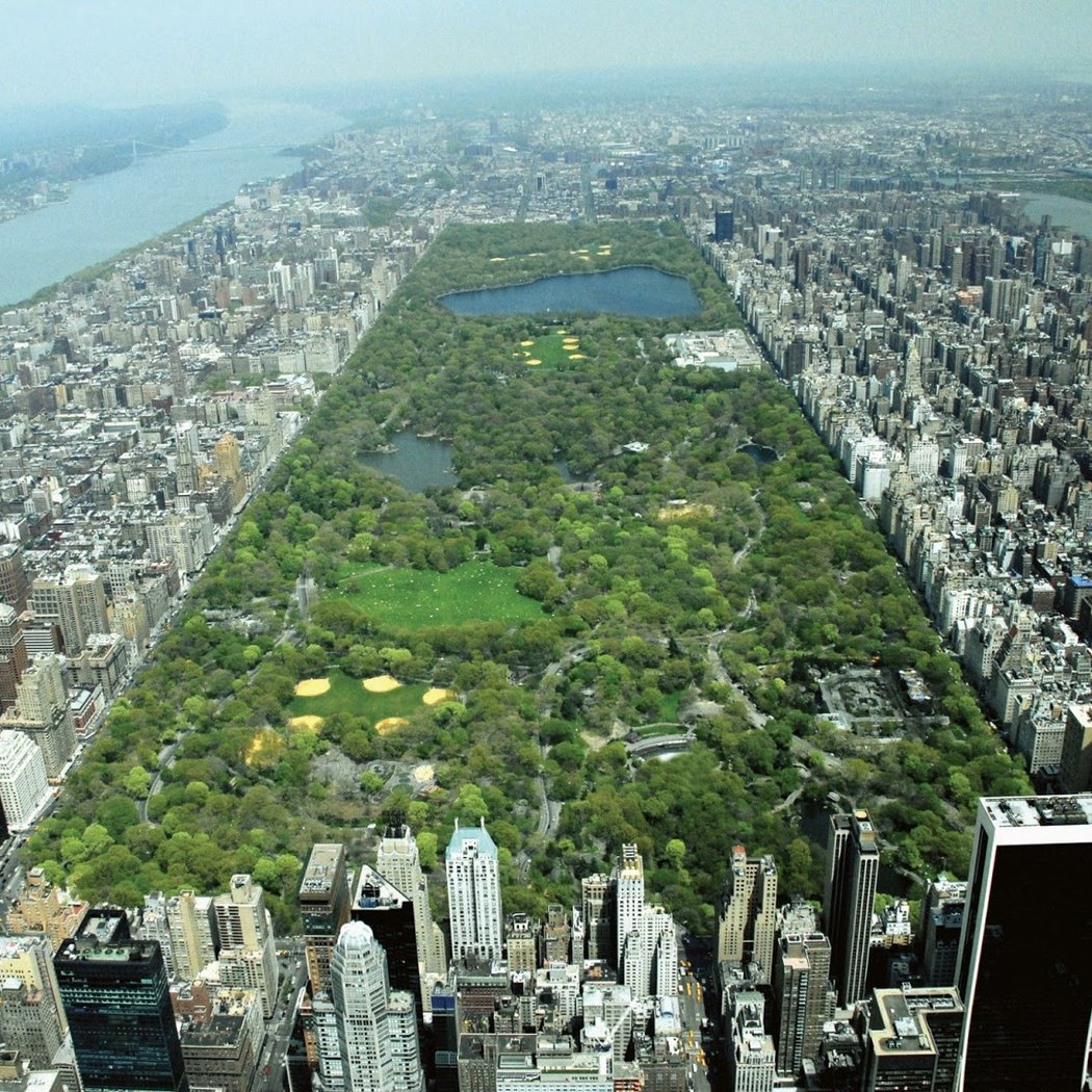 Iconic Views of Central Park Tour (Central Park Conservancy) 2