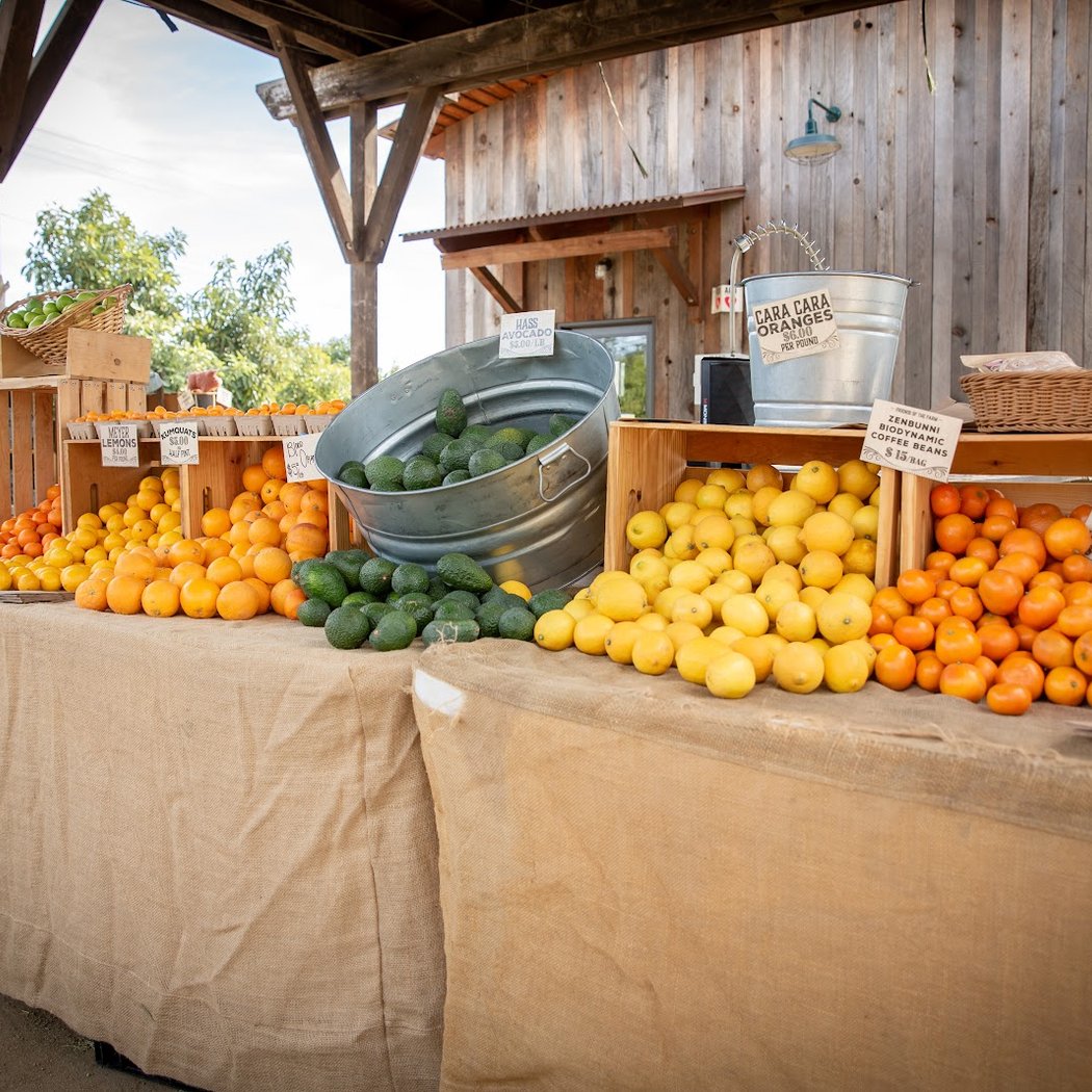 Regenerative Farm Tour 1