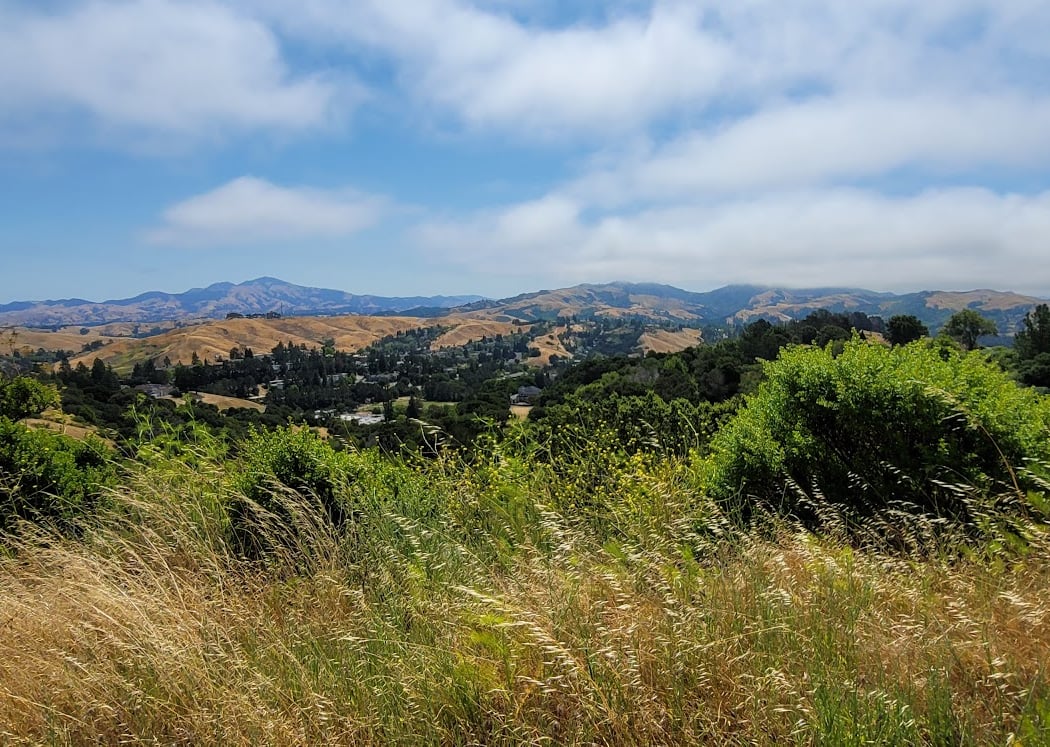 Moraga Parks & Recreation 2