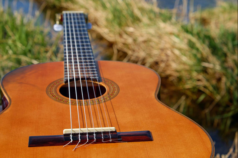 Festival Django Reinhardt 2