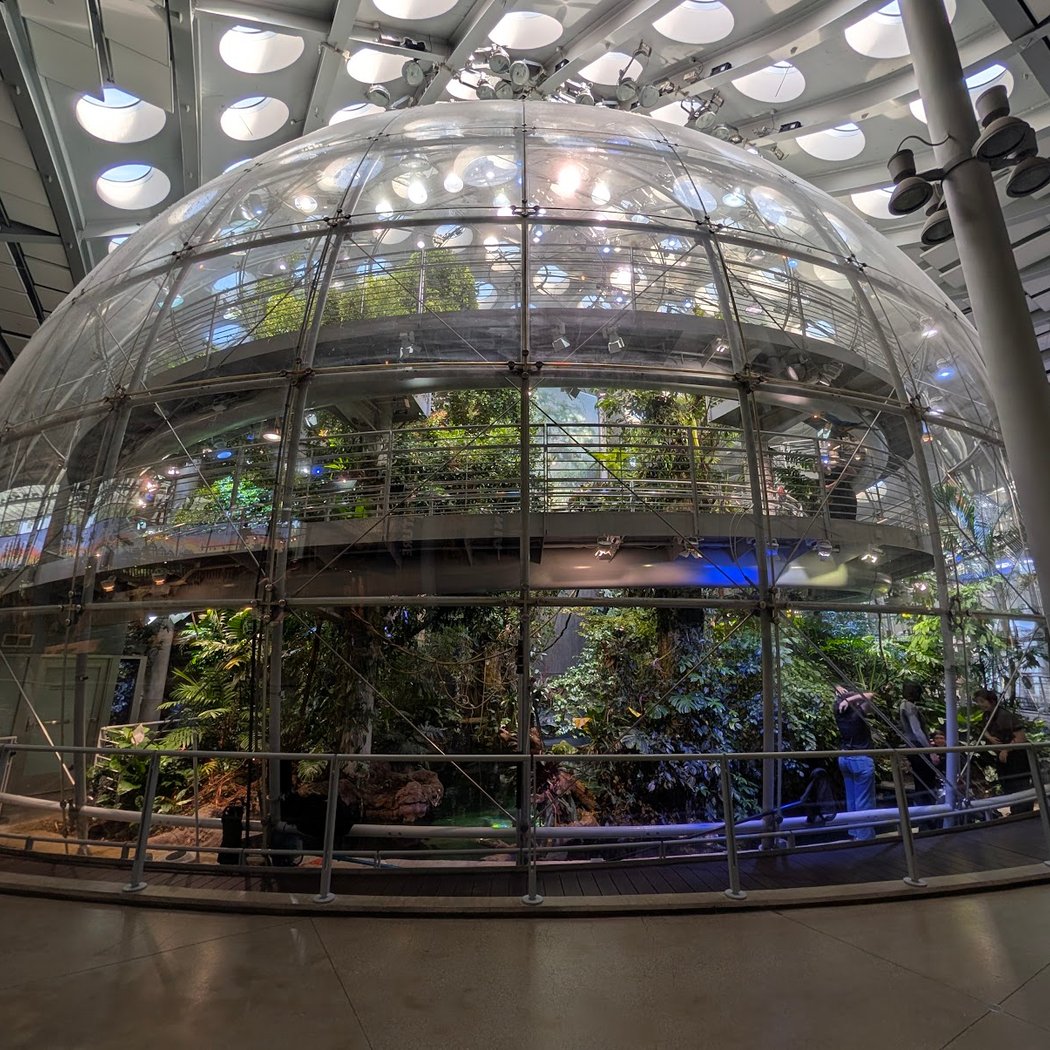 Morrison Planetarium 2