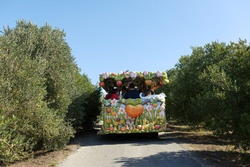 Festive Farm Tour & Seasonal Sips 1