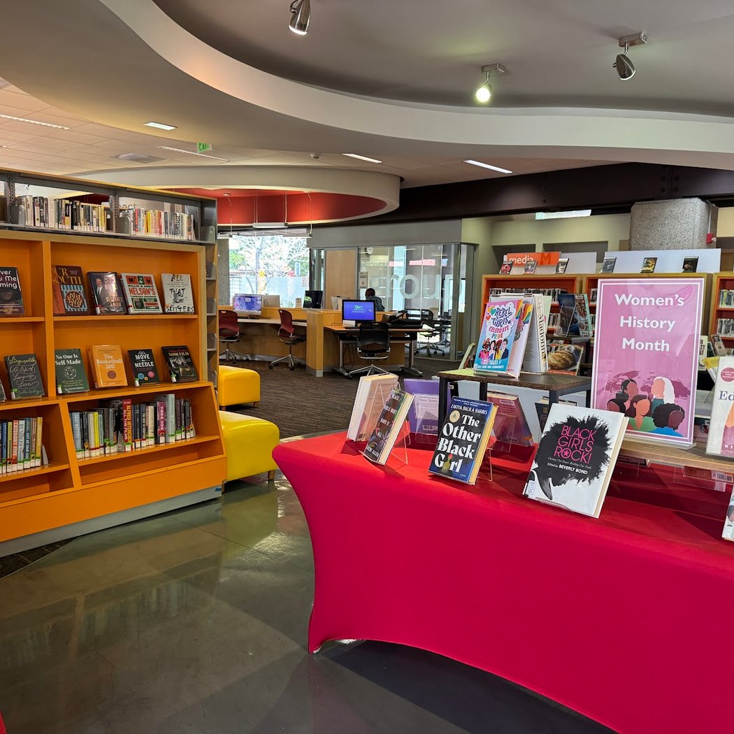 Downtown Library 1